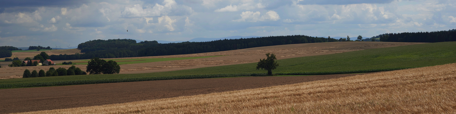 Zittau - Spreequellen - Mandautour