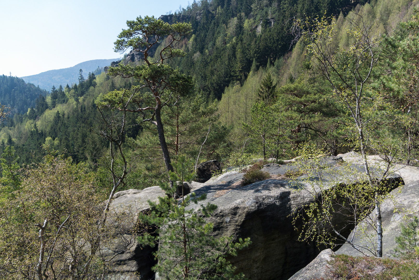 WFN-Reisen - Zittauer Gebirge - Große Kesseltour